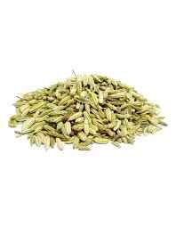 DR FENNEL SEED