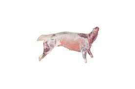 LAMB   Whole Baby Lamb
