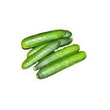 Persian Cucumber