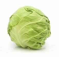 Cabbage   Green