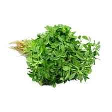 Methi Bunch