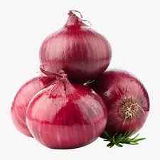 ONION RED LOOSE