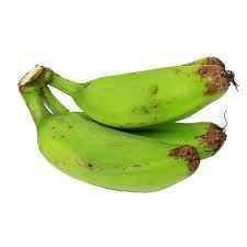 PLANTAIN Small