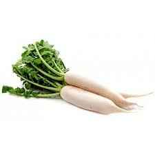 MULI   DAIKON NO LVS