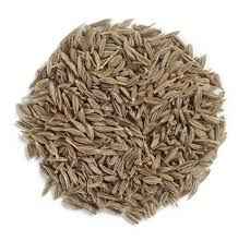 CUMIN SEED