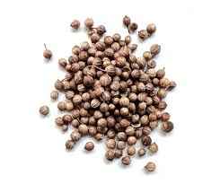 CORIANDER