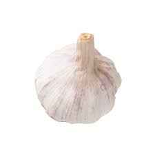 GARLIC SINGLE
