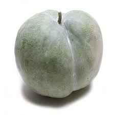 WINTER SQUASH/MELON