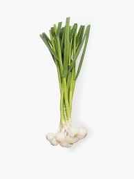 GREEN GARLIC BUNCH