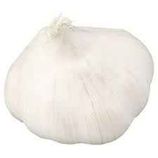 GARLIC