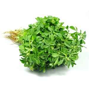 Frozen Methi (Frozen)