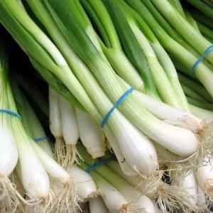 GREEN ONION PK