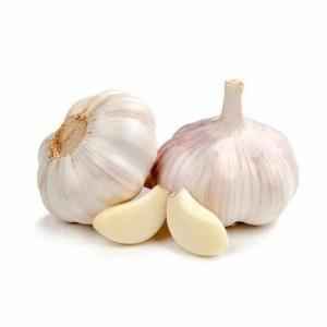 GARLIC BUNCH