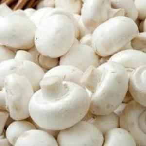 FARMERS FRSH MUSHROOM