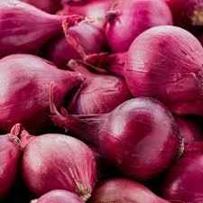 ONION RED PEARL
