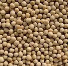 DHANRAJYELLOW WHOLE PEAS