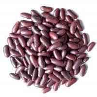 HANS DARK KID BEAN