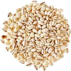 DHAN PEARLED BARLEY
