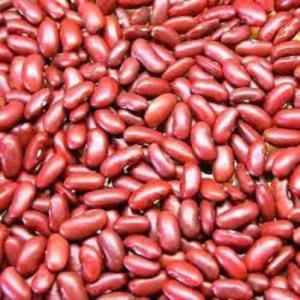 HANS KIDNEY BEANS