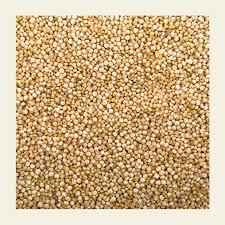 DHANRAJ WHITE QUINOA