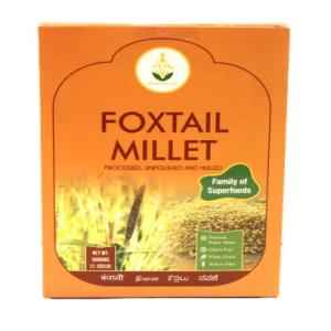 SHAST FOXTAIL MIL FLO
