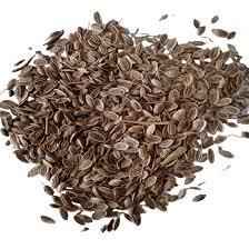 HANS DILL SEEDS