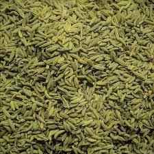 DHANRAJ LUCKNOWI FENNEL