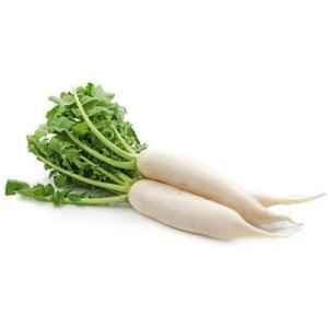 DAIKON WITH LEAF