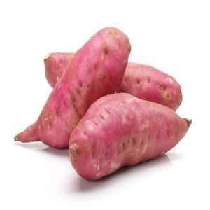 SWEET POTATO