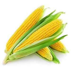 WHITE CORN