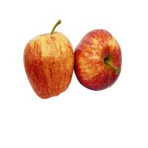 APPLE GALA