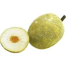 BREADFRUIT