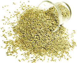 Spicy World Fennel Seeds (Lucknow)