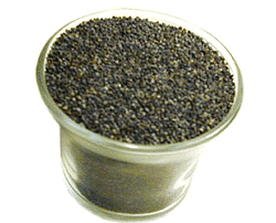 Nirav Poppy Seeds (Black)