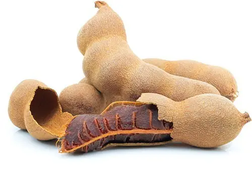 Sweet Tamarind Pods
