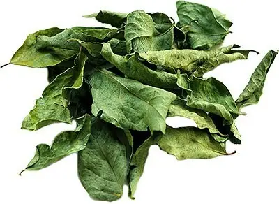 Dry Curry Leaves