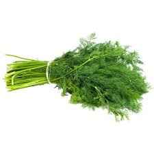 DILL BUNCH