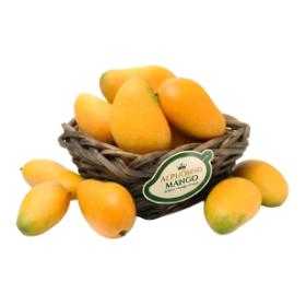 Fresh Alphonso Mango Pack