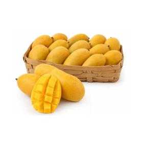 Fresh Kesar Mango Pack