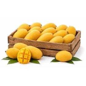 Fresh Banganapalli Mango Pack