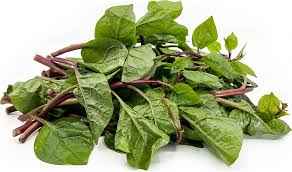 Malabar Leaves