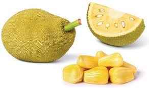 Jackfruit