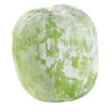 WINTER MELON