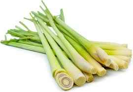 Lemon Grass