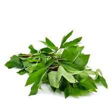 Gongura