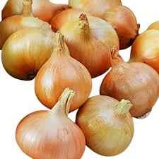Fresh Onion Yellow
