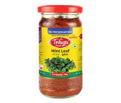Telugu Mint Leaf Pickl NG
