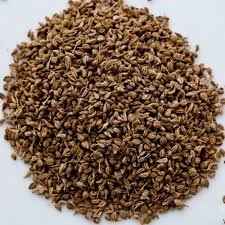 Organic Ajmain Seed