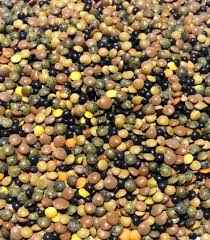 GREEN SENSE ORG MIX LENTIL