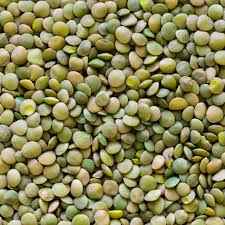 Green Lentil